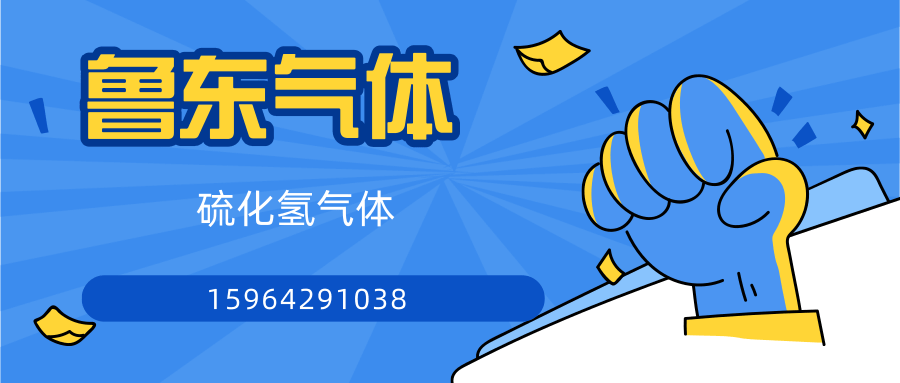 山东硫化氢气体厂家-标准气体 4L瓶装等规格